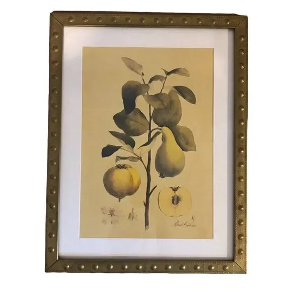Rare IKEA Botanical Prints set of 4 Brass Frame